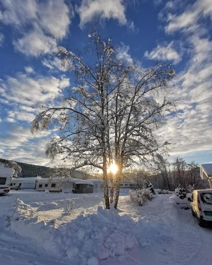 Surnadal Camping Brekkoya Skei  Esterno foto