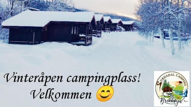 Surnadal Camping Brekkoya Skei  Esterno foto