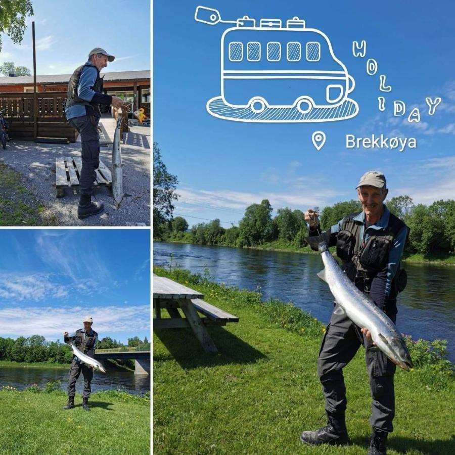 Surnadal Camping Brekkoya Skei  Esterno foto