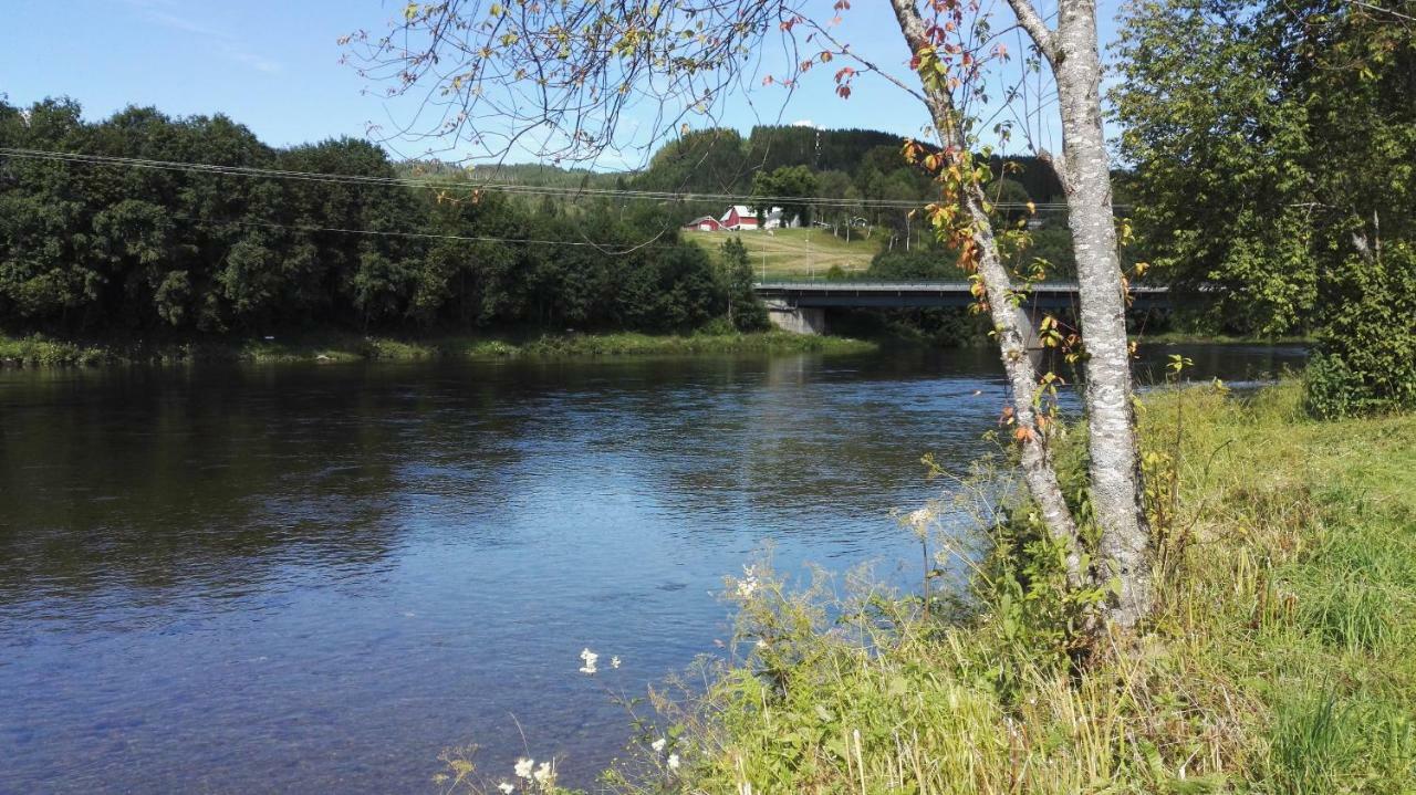 Surnadal Camping Brekkoya Skei  Esterno foto